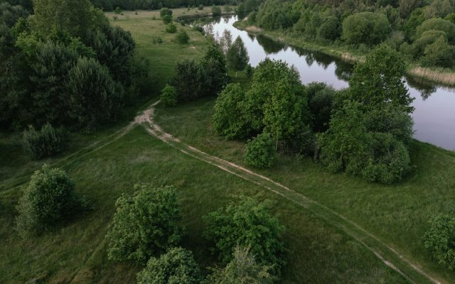 Рыбалка в Гомеле: куда ехать, что проверить по правилам и как не испортить выезд