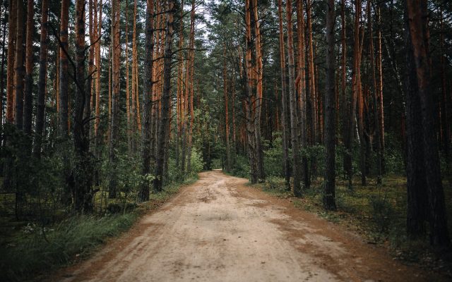 Рыбалка в Брестской области: куда ехать, что проверить и когда не попасть на запрет