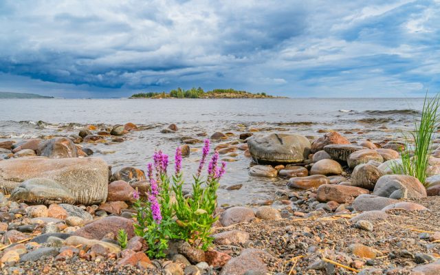 Ловля щуки на Минском море: места, правила и сезон