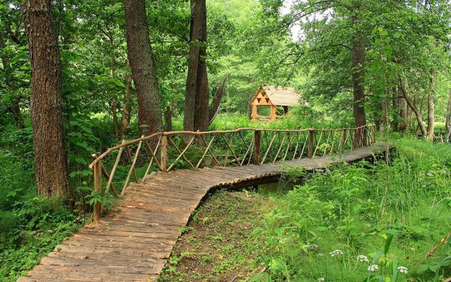 Экологические маршруты по Беларуси